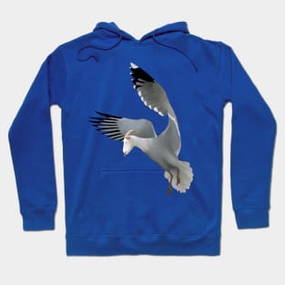 Birdy Goat Hoodie